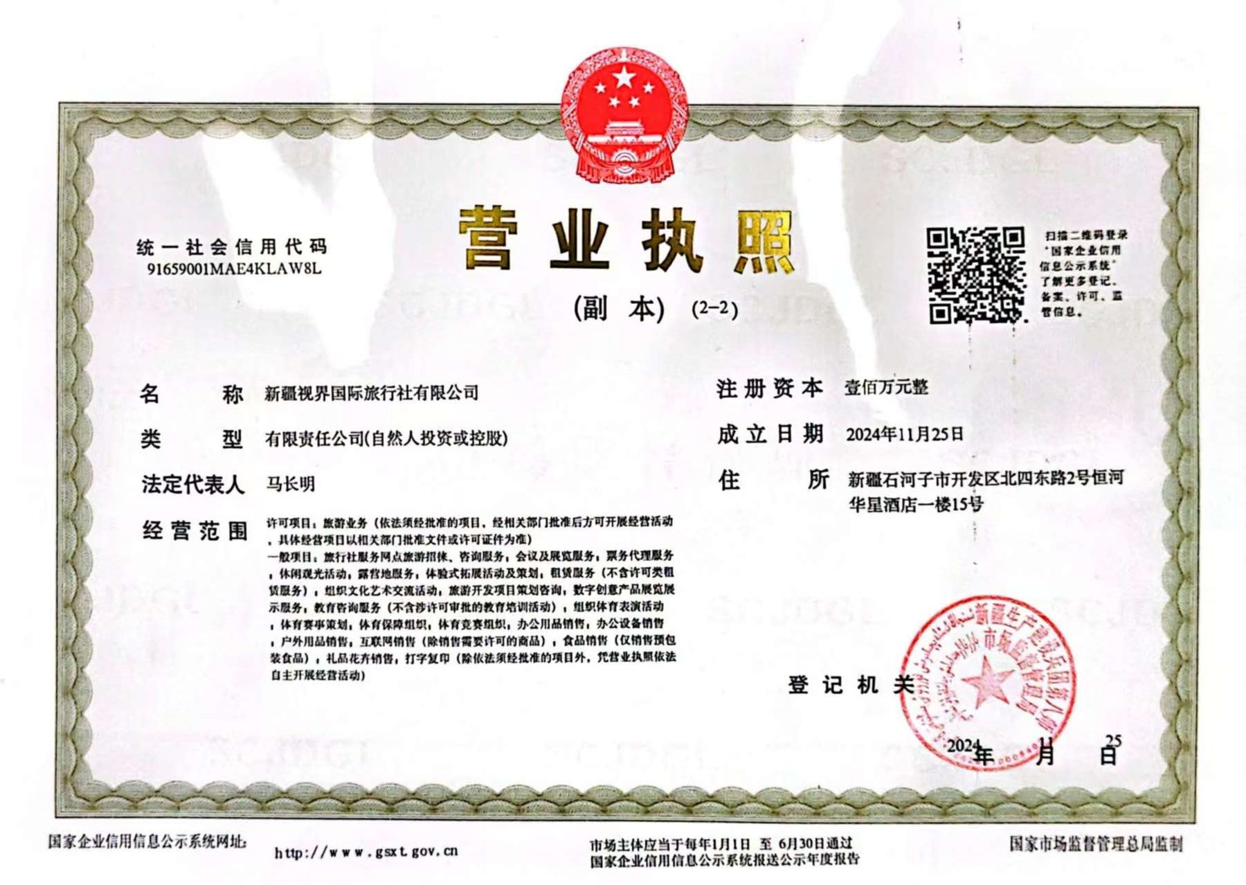新疆视界国际旅行社有限公司营业执照