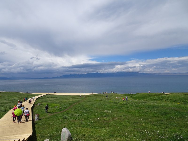 赛里木湖湖岸草地与远山