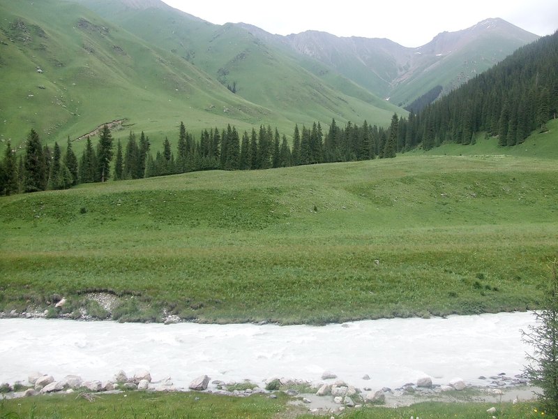 昭苏夏塔峡谷草原与山林