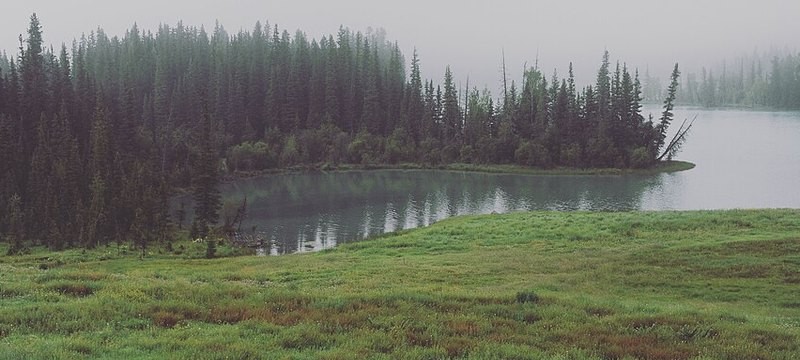 新疆阿勒泰山林与村落